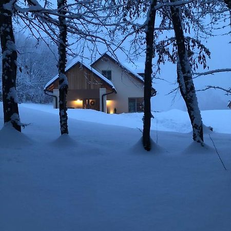 Loft Naturalpina Dolomiti Farm Belluno Exterior photo